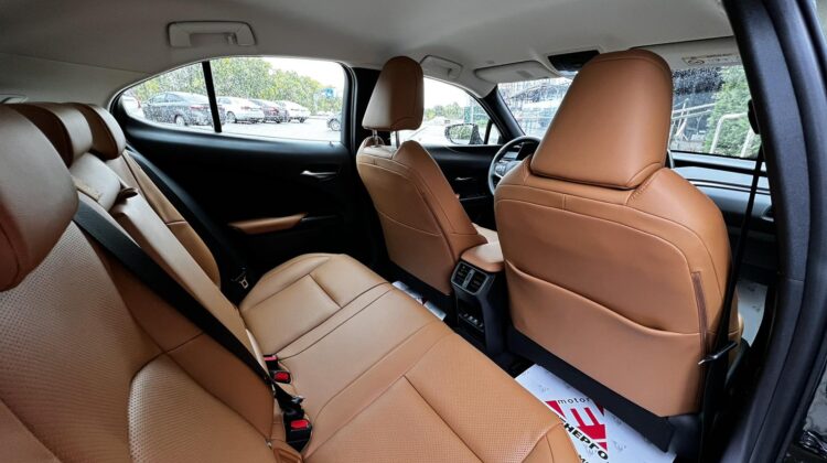 lexus-ux-300-artenergomotor-18